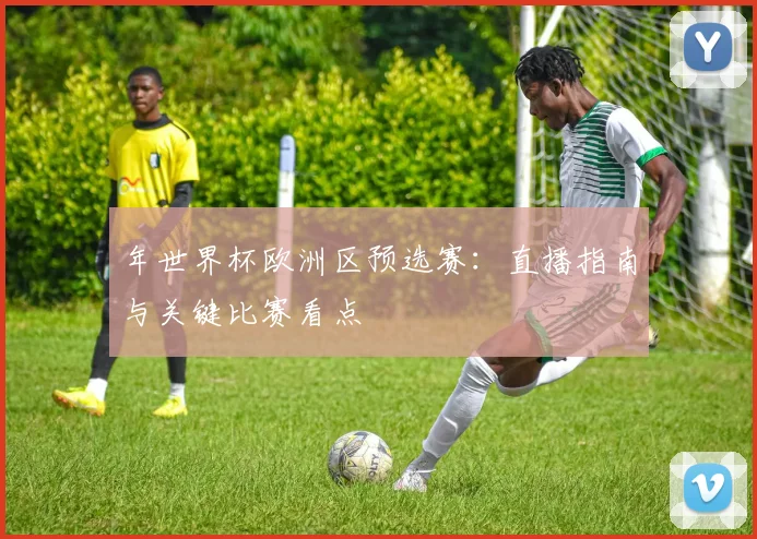 年世界杯欧洲区预选赛:直播指南与关键比赛看点