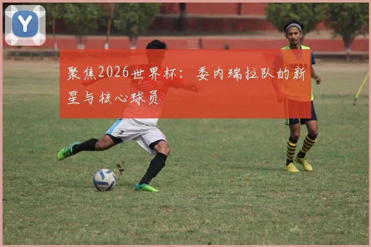 聚焦2026世界杯:委内瑞拉队的新星与核心球员